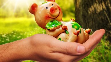 good luck, handful happiness, piggy, lucky pig, congratulations, figure, good luck, good luck, good luck, good luck, good luck, congratulations