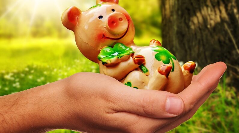 good luck, handful happiness, piggy, lucky pig, congratulations, figure, good luck, good luck, good luck, good luck, good luck, congratulations